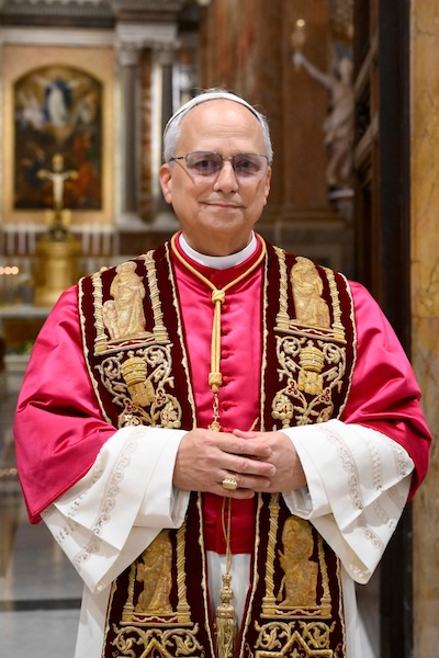 Pope Leo’s Problematical Reply