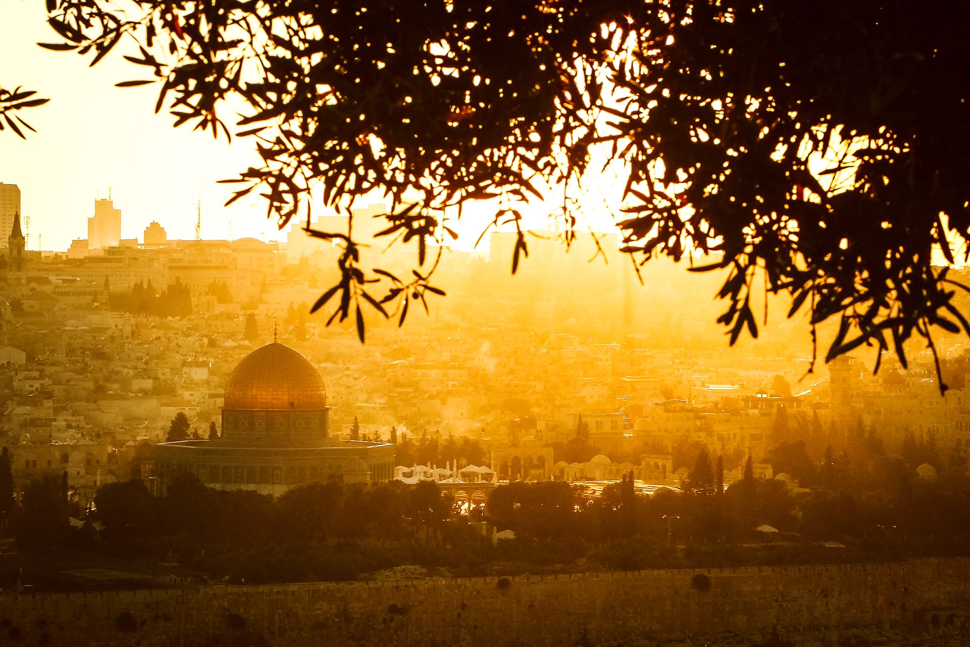 Genocide in Palestine? – Another Dark Chapter in Mankind’s History