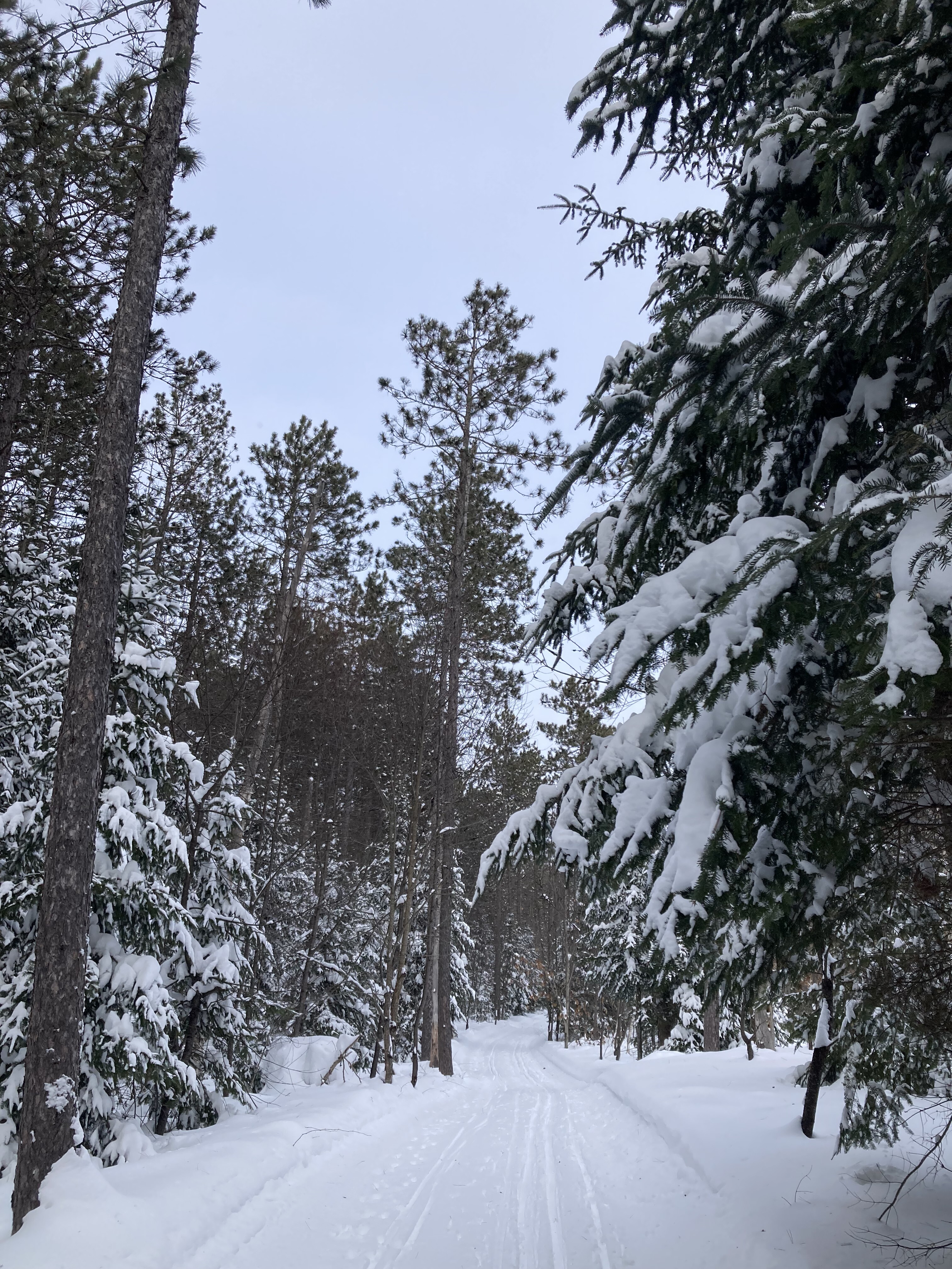 In the Bleak Midwinter, Gaudete Christus Natus Est