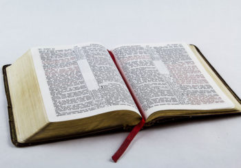 The Expurgated Bible