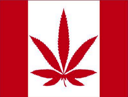 Oh, Cannabis!