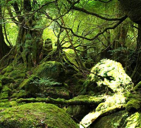From Marx to Gaia