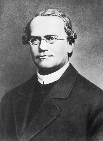 Gregor Mendel: Abbot and Father of Genetics