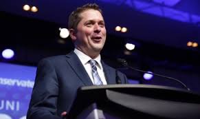 Scheer Wins