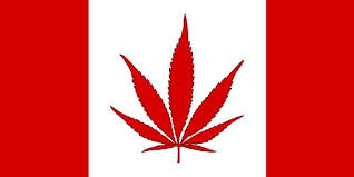 Canadian Pot Heads