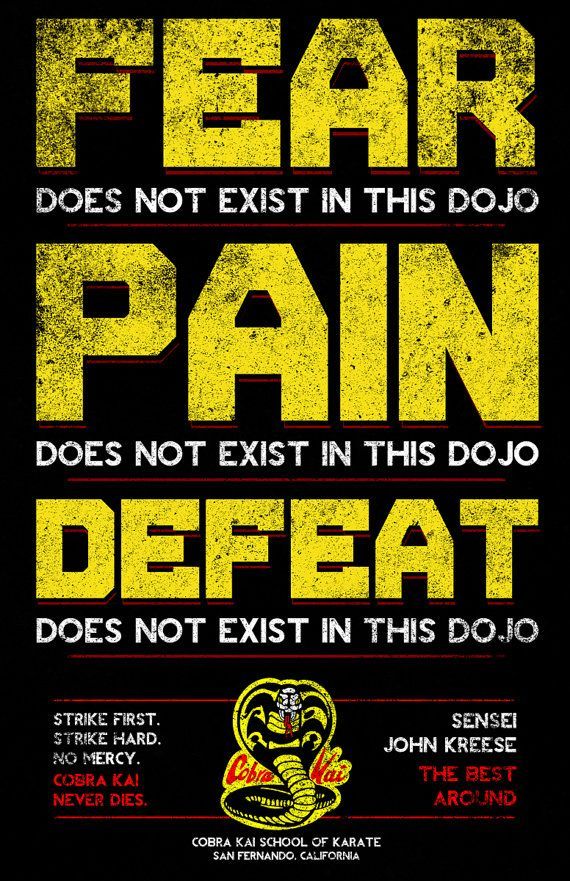 Cobra Kai: A Nostalgic Adventure