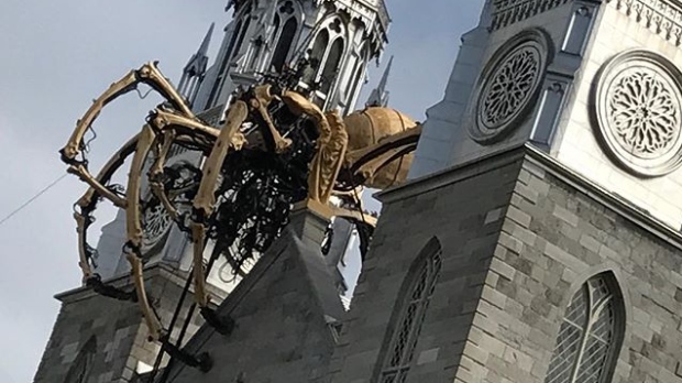 Of Irenicism and Arachnids
