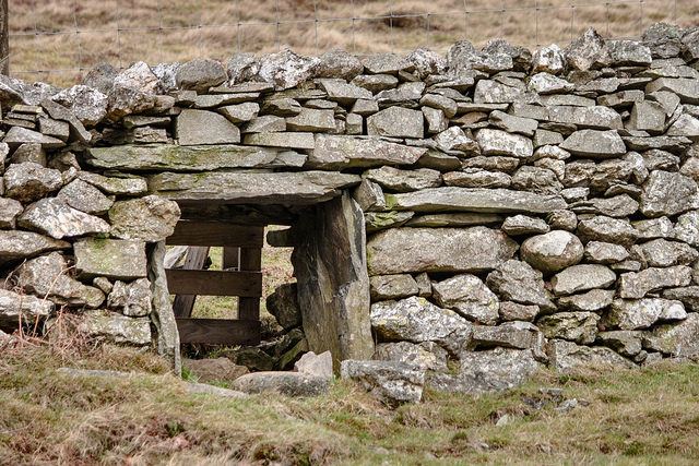 Twenty-First Sunday: Entering By the Narrow Gate to Find True Freedom